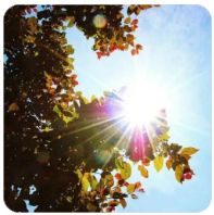 如何在网站底部加友情链接代码