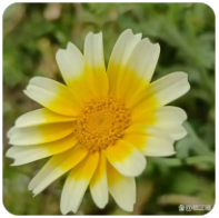 如何在网站底部加友情链接代码